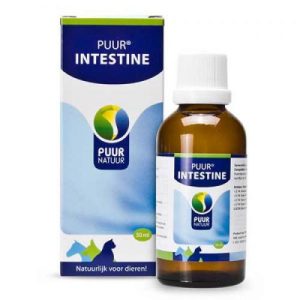 puur-intestine