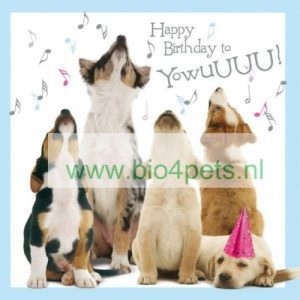 typist Interesseren geweld Cadeaupakket voor de hond- NU in de aanbieding! - Bio4Pets