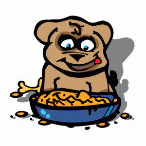bandit hond eten