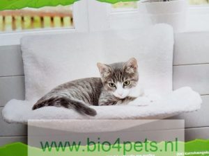katten-radiator-hangmat