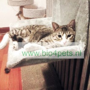 Aktentas succes Zonnig Katten Radiatorhangmat- in verschillende kleuren - Bio4Pets