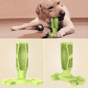 Natuurlijke-tandenborstel-hond