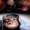 Vuurwerk!- natuurlijke middelen