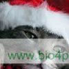 kerstkat-kerst-kat-kerstpakket-bio4pets