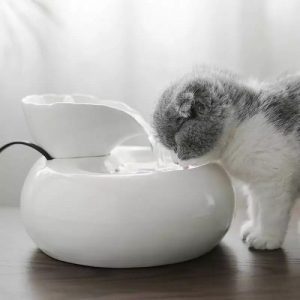 allerlei benodigdheden voor katten