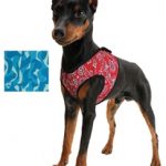 Koel Tuigje - Aqua coolkeeper Comfy Cool blue- in 3 maten