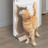 kong-connects-kitty-comber-kat