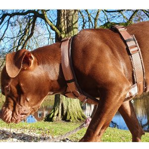 trixie-trekking-tuig-hond
