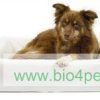 bia-bed-120x100x15-hond-wit