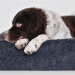 Bia Fleece Hoes Hondenmand- Antraciet Grijs of Taupe