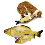 Levensgrootte Vis met Catnip voor katten