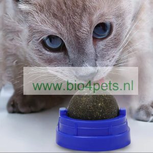 Catnip-bal-kat-product-speelgoed-tandreiniging-kat