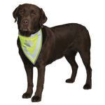 Reflecterende Bandana  - Verschillende maten verkrijgbaar