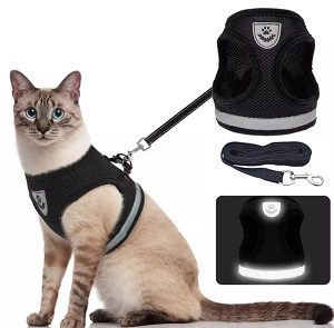 vergiftigen Verwant bellen Verstelbaar Comfort Tuigje voor Kat of Puppy - met riem en reflecterend -  Bio4Pets