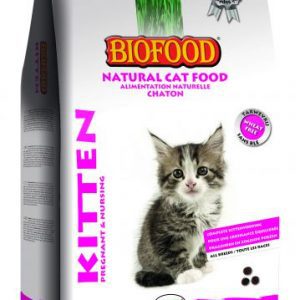 biofood-kittten-&-nursing-pregnant