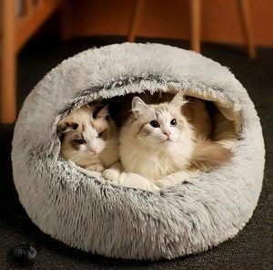 Australische persoon man vacht Fluffy mand CatCave voor kat of kleine hond - Bio4Pets