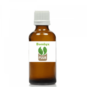puur_natuur_bombyx_eikenprocessierups